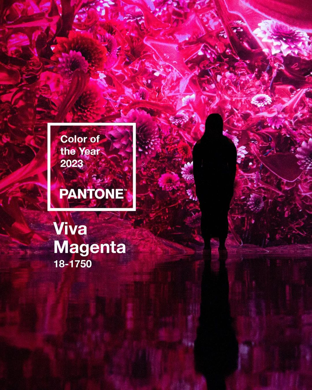 2023年PANTONE年度代表色發表 - 紅紅火火洋紅萬歲 Viva Magenta!