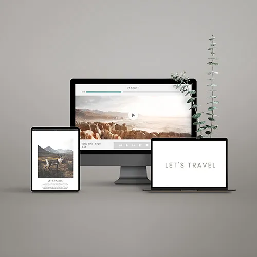 Website
